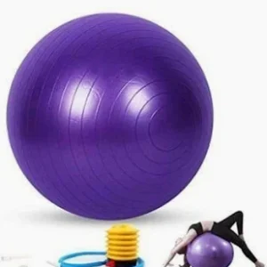 swiss ball/yoga ball/exercise ball